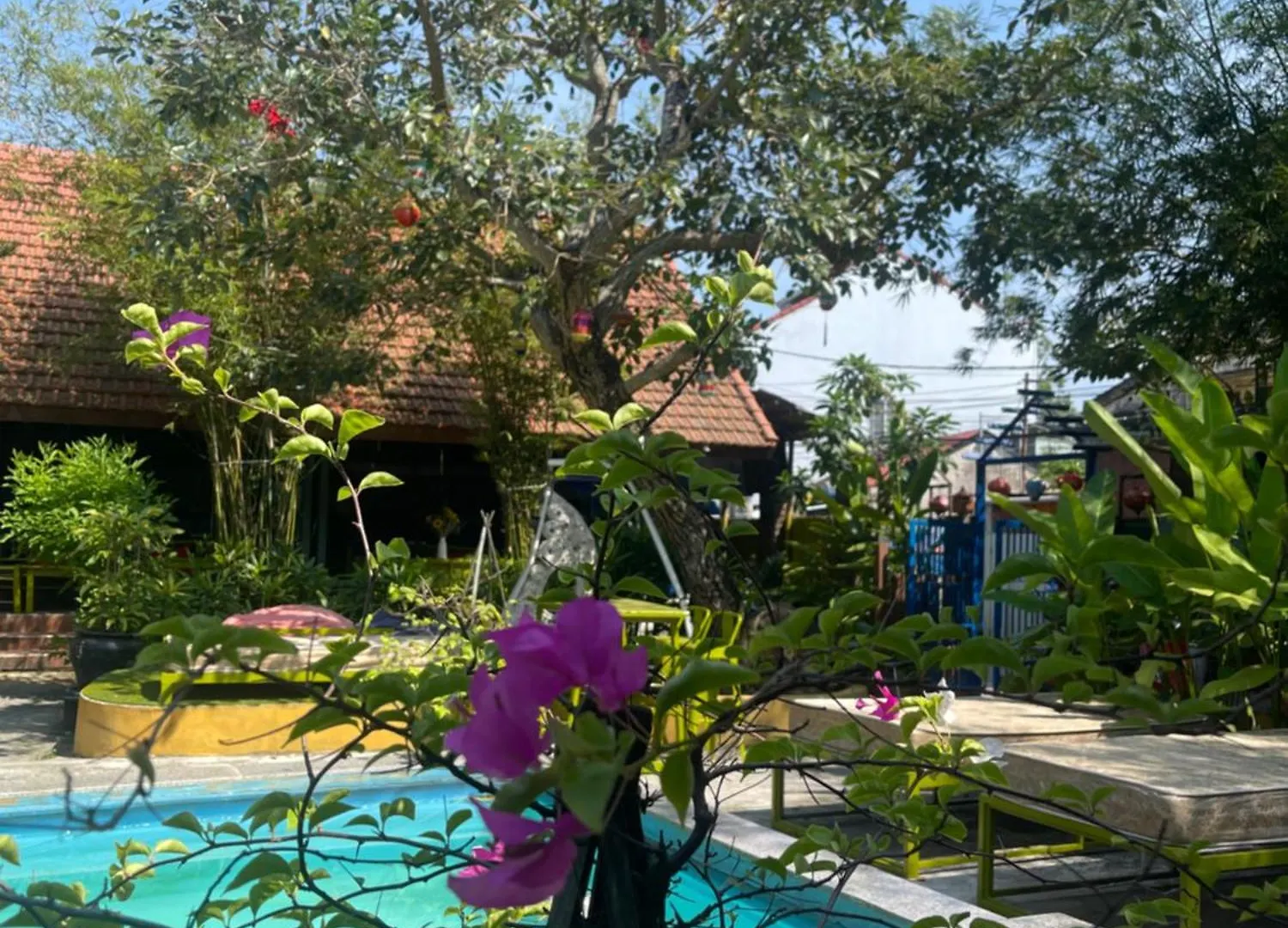 Serendipity Experience Hoi An Old Town