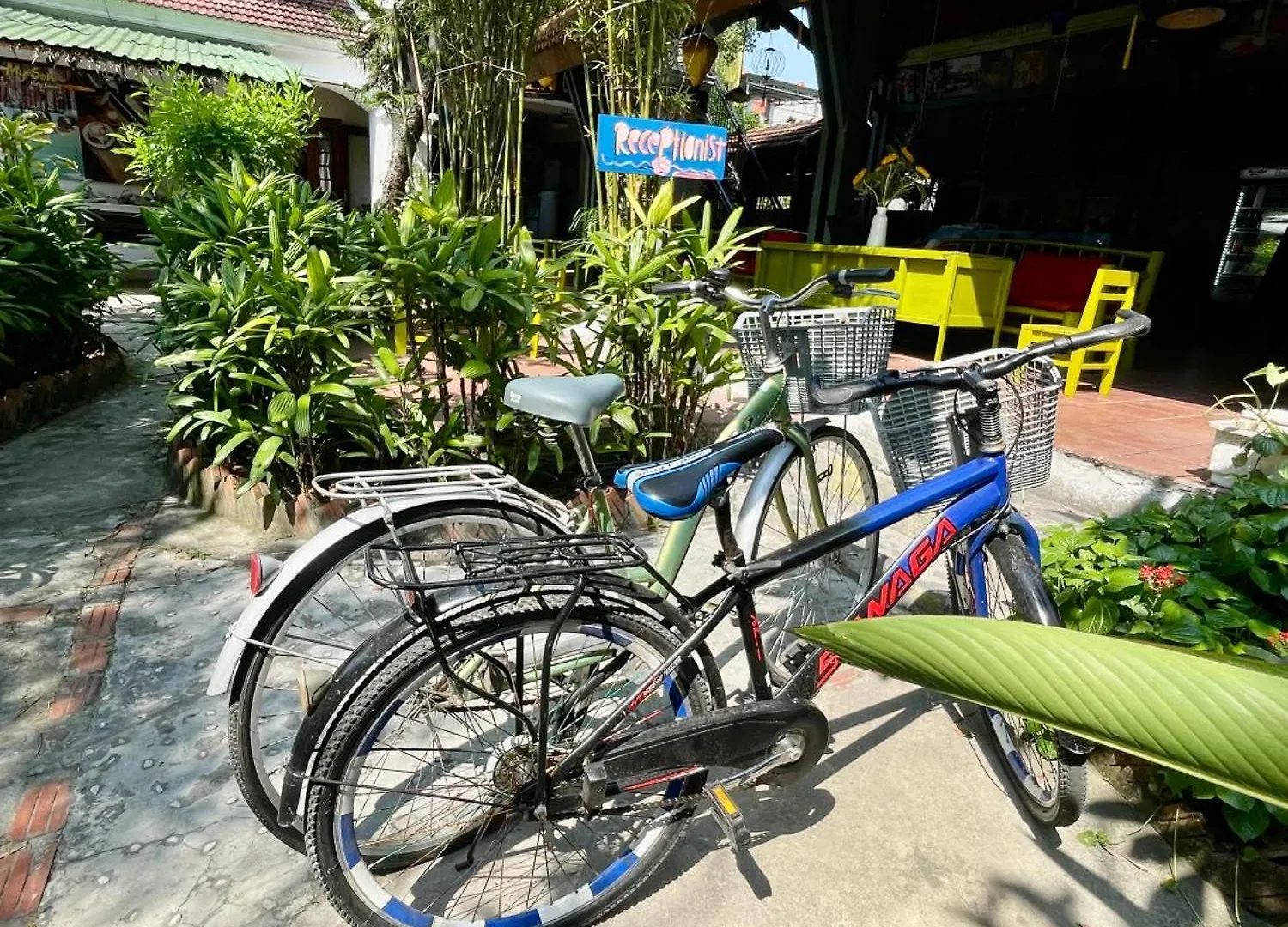 Serendipity Experience Hoi An Hostel Vietnam