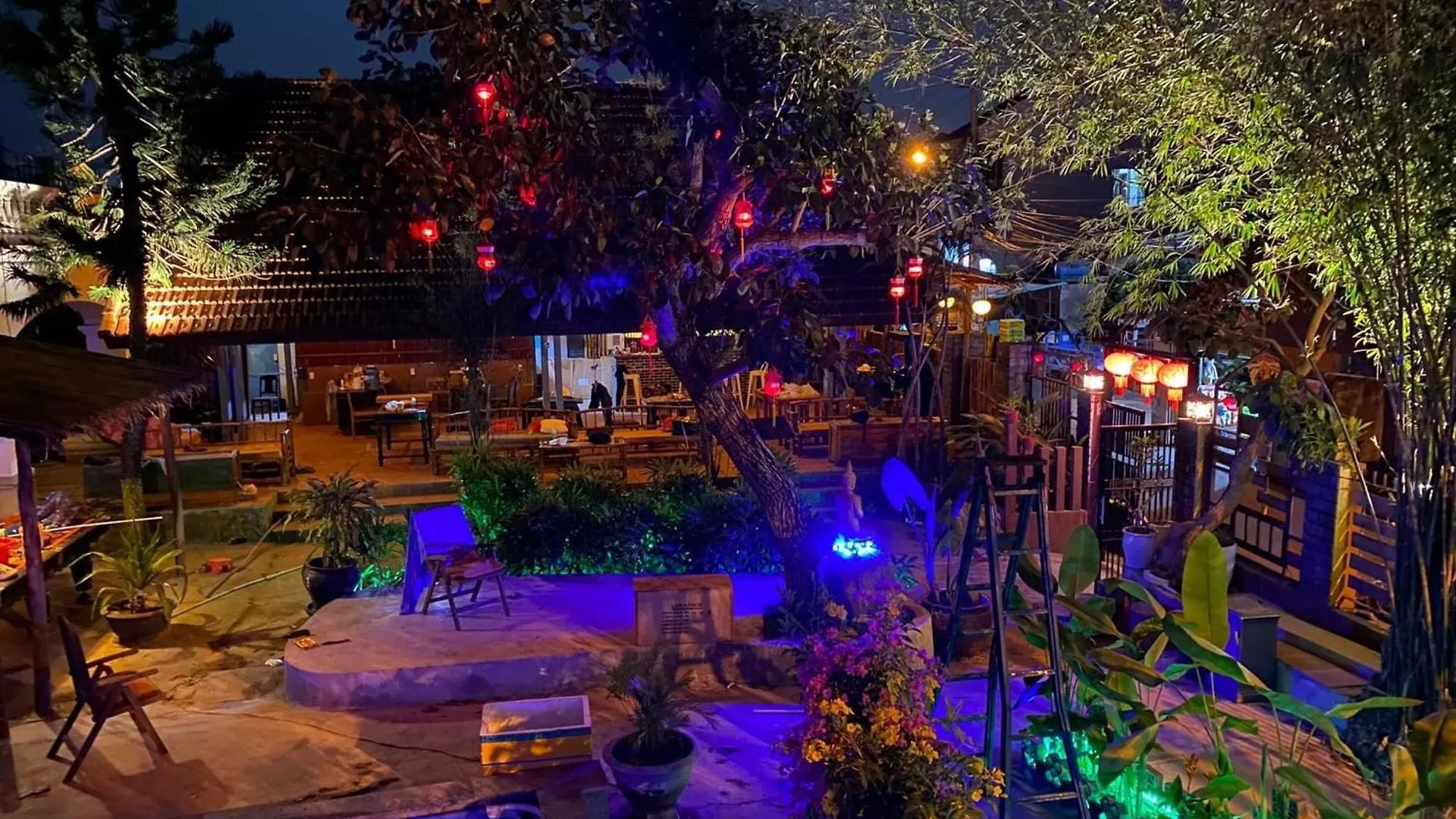 Serendipity Experience Hoi An Old Town